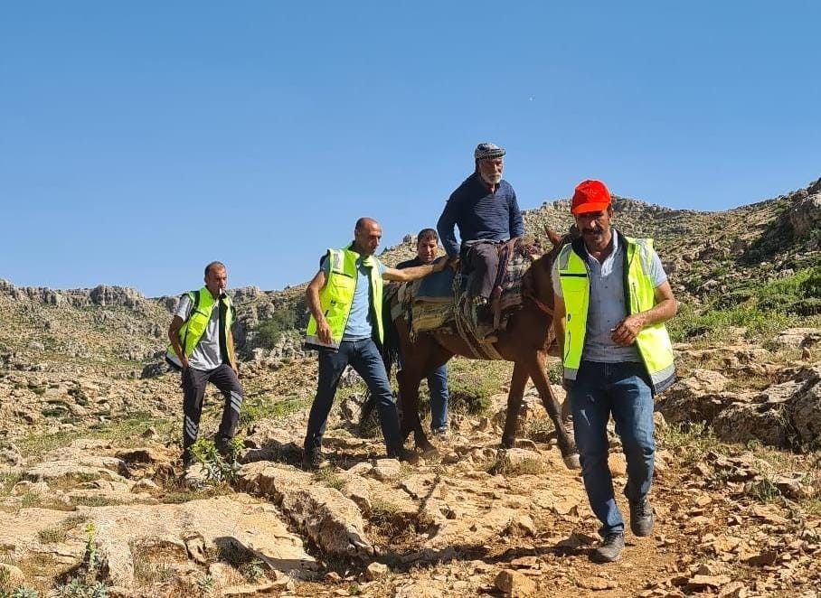 Siirt’te dağ başında rahatsızlanan çoban at sırtında ambulansa ulaştırıldı
