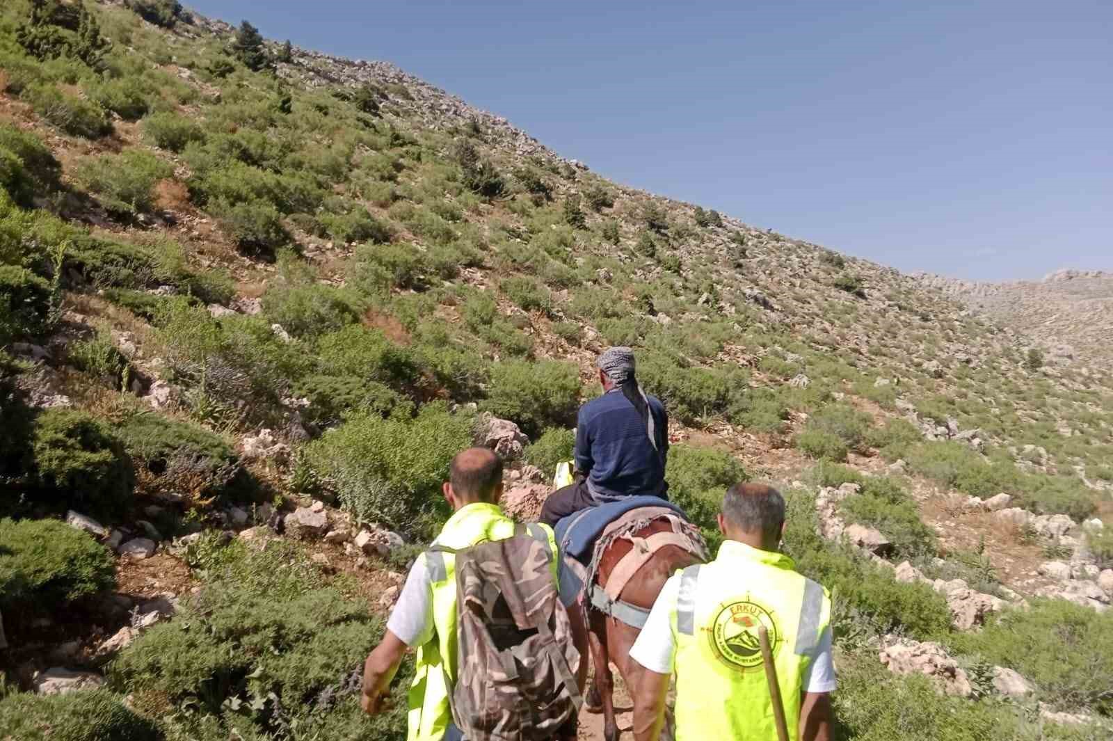 Siirt’te dağ başında rahatsızlanan çoban at sırtında ambulansa ulaştırıldı
