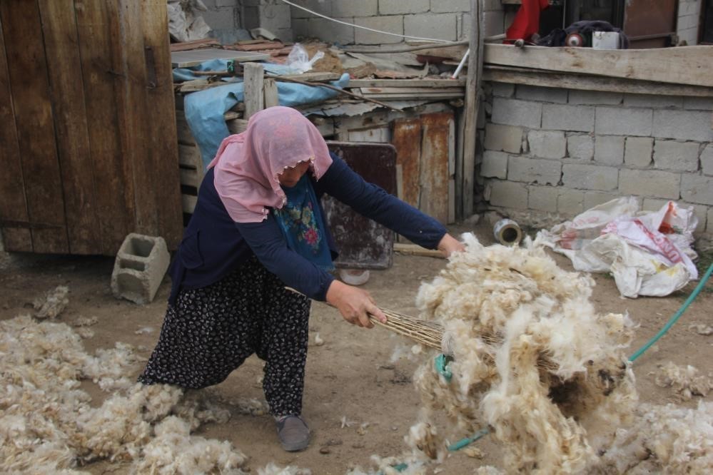 Yaylalarda koyun kırkma zamanı
