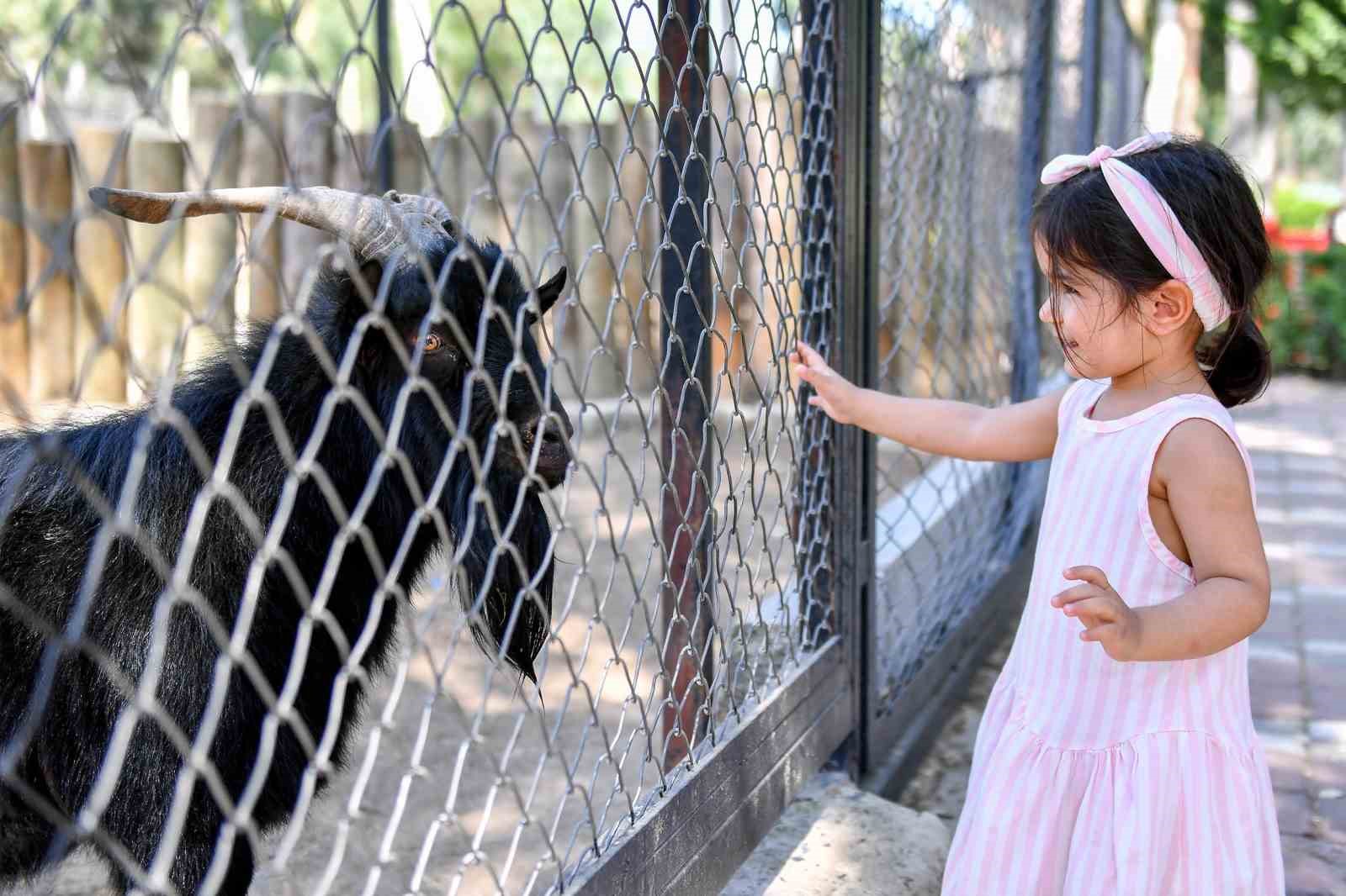 Tarsus Doğa Parkı, bayram tatilinin ilk 5 gününde 16 bine yakın kişiyi ağırladı
