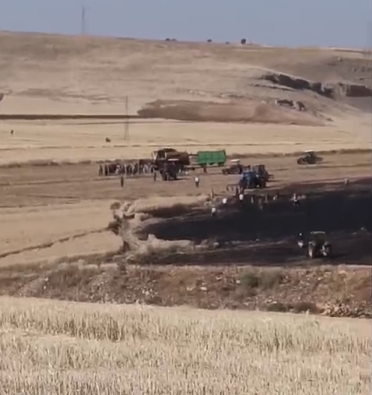 Yangında buğday ekili arazi kül oldu, tarla sahibi biçerdöver şoförünü darp etti
