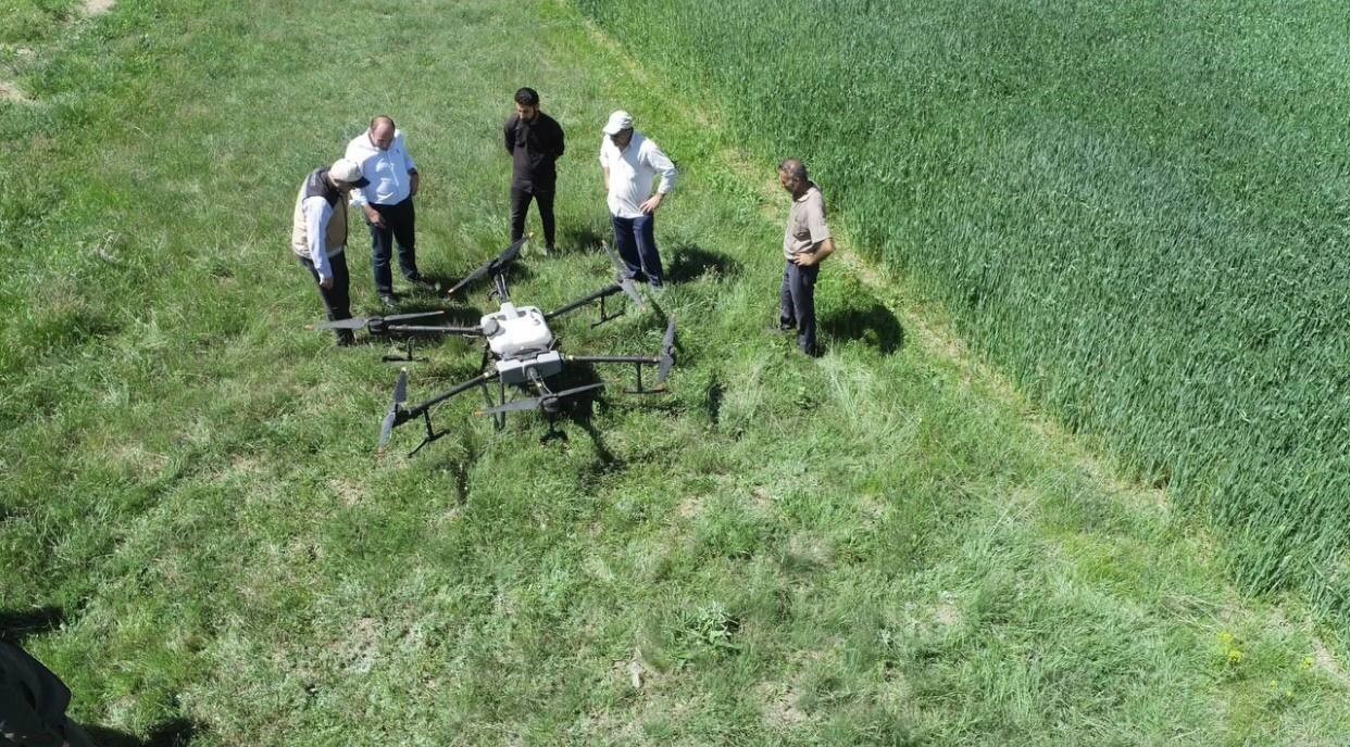 Tarım droneleri ile ilaçlama yapıldı
