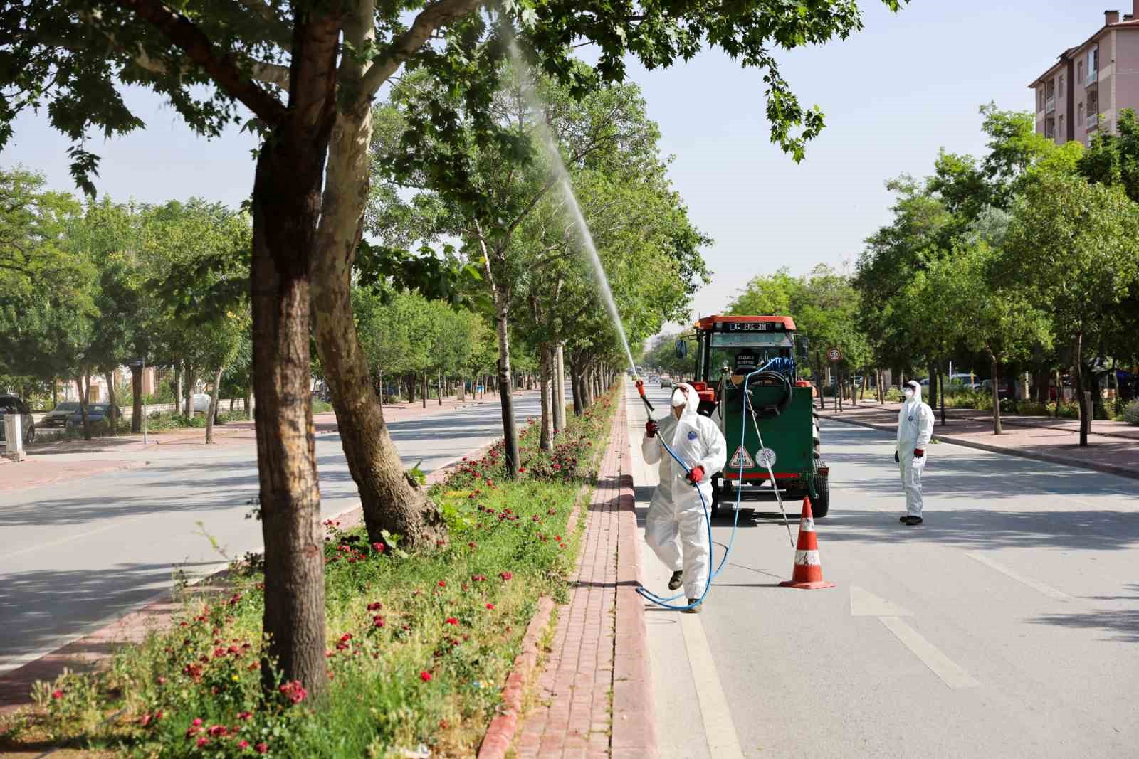 Selçuklu’da haşere ile mücadele sürüyor
