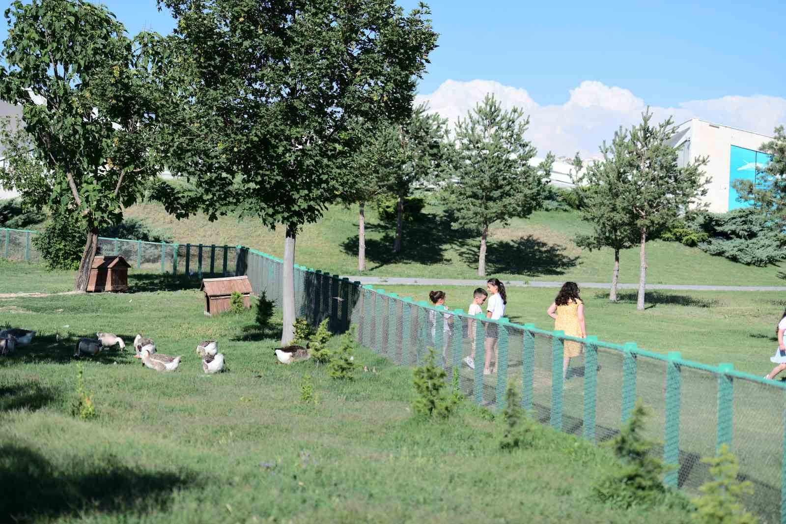 Büyükşehir Hayvanat Bahçesi’nin misafirlerine bayramda ziyaretçi akını
