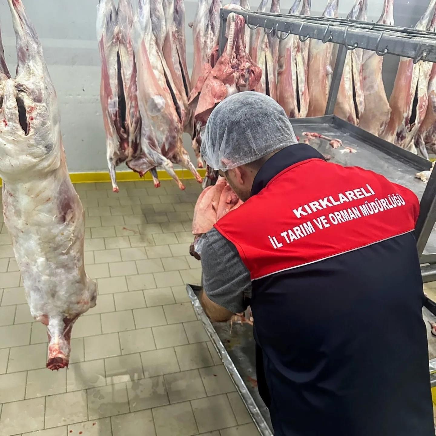 Kırklareli’nden depremzedelere kurban eti kavurması
