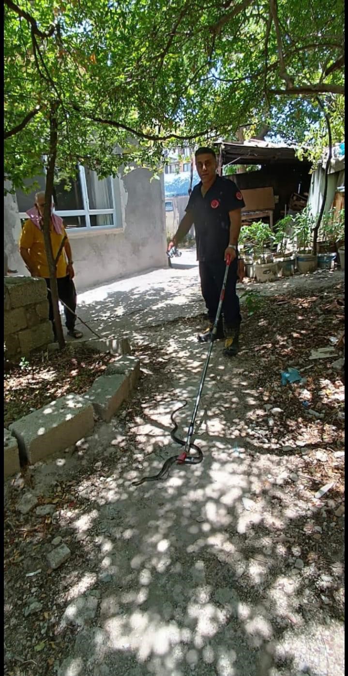 Eve giren yılanı itfaiye yakaladı
