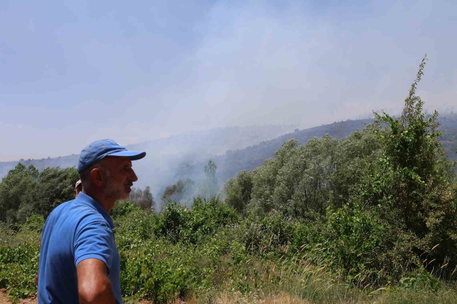 Elazığ’da orman yangınına havadan müdahale sürüyor
