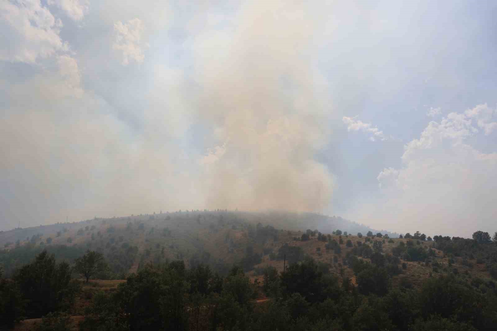 Elazığ’da orman yangınına havadan müdahale sürüyor
