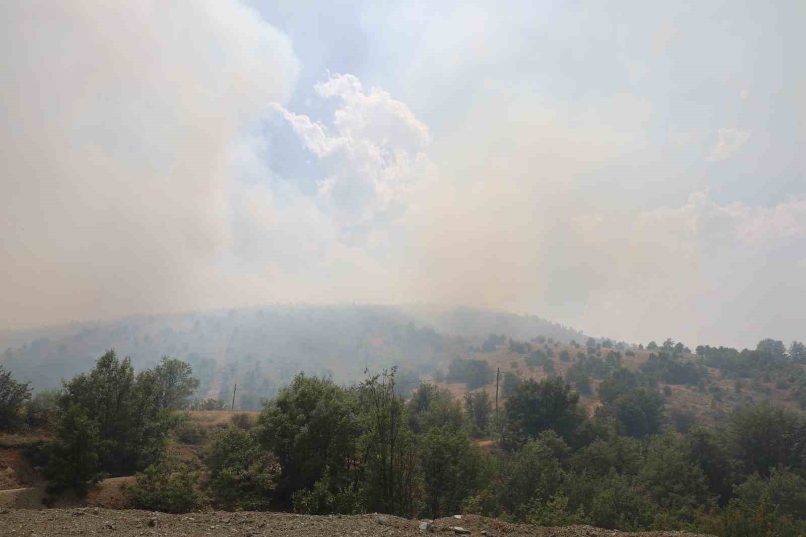 Elazığ’da orman yangınına havadan müdahale sürüyor
