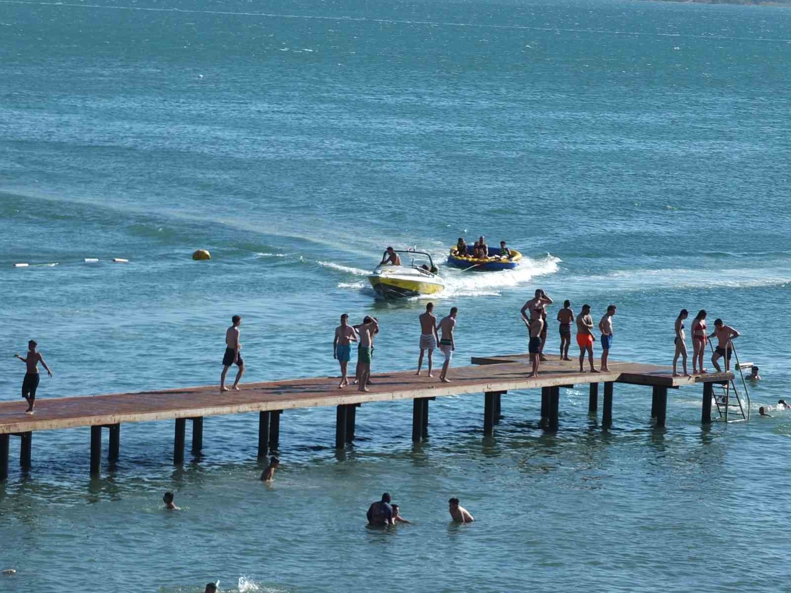 Balıkesir’de tarihi meşe ağaçları koruma altına alındı
