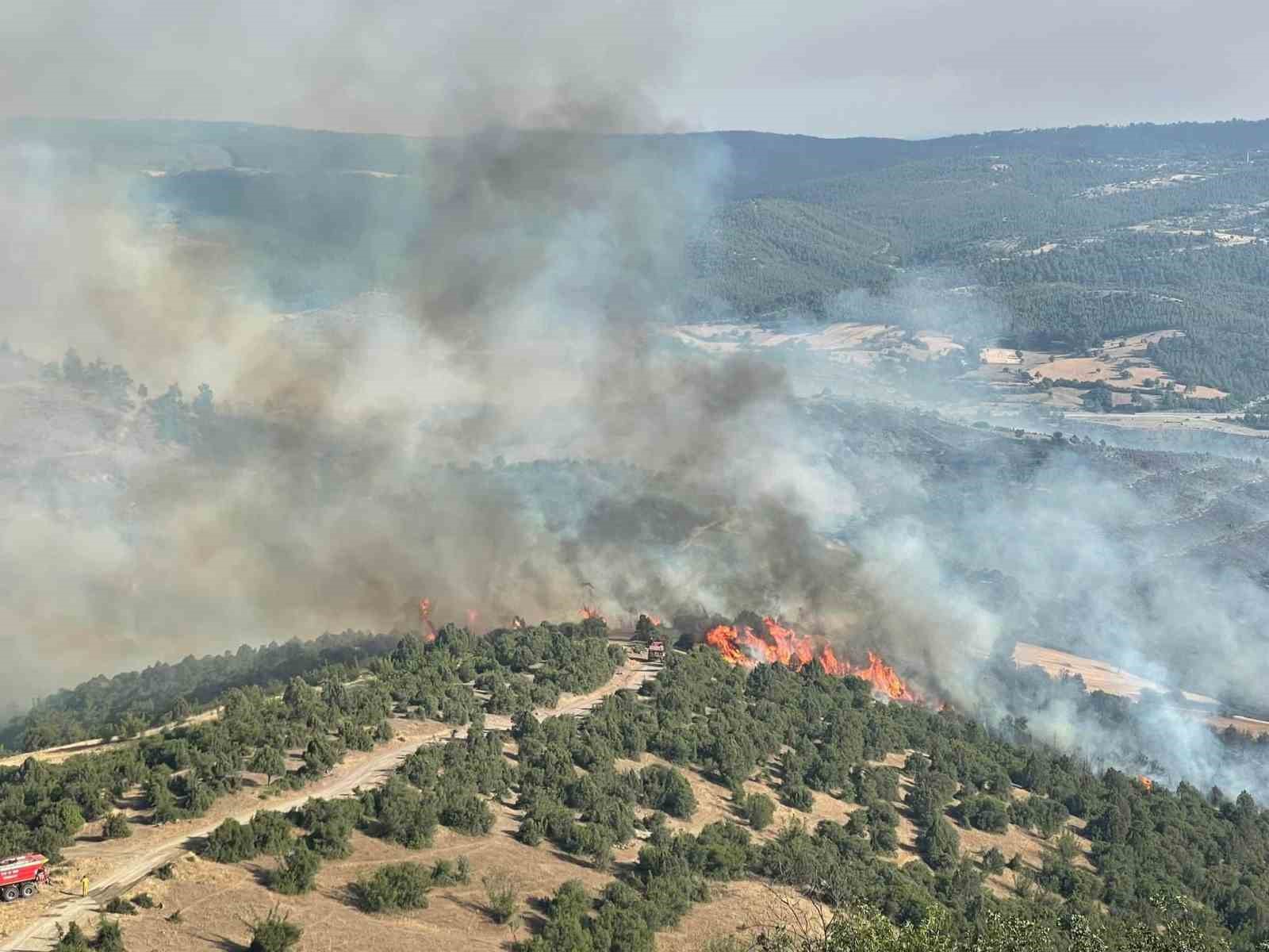 Bursa’daki orman yangınına havadan müdahale sürüyor
