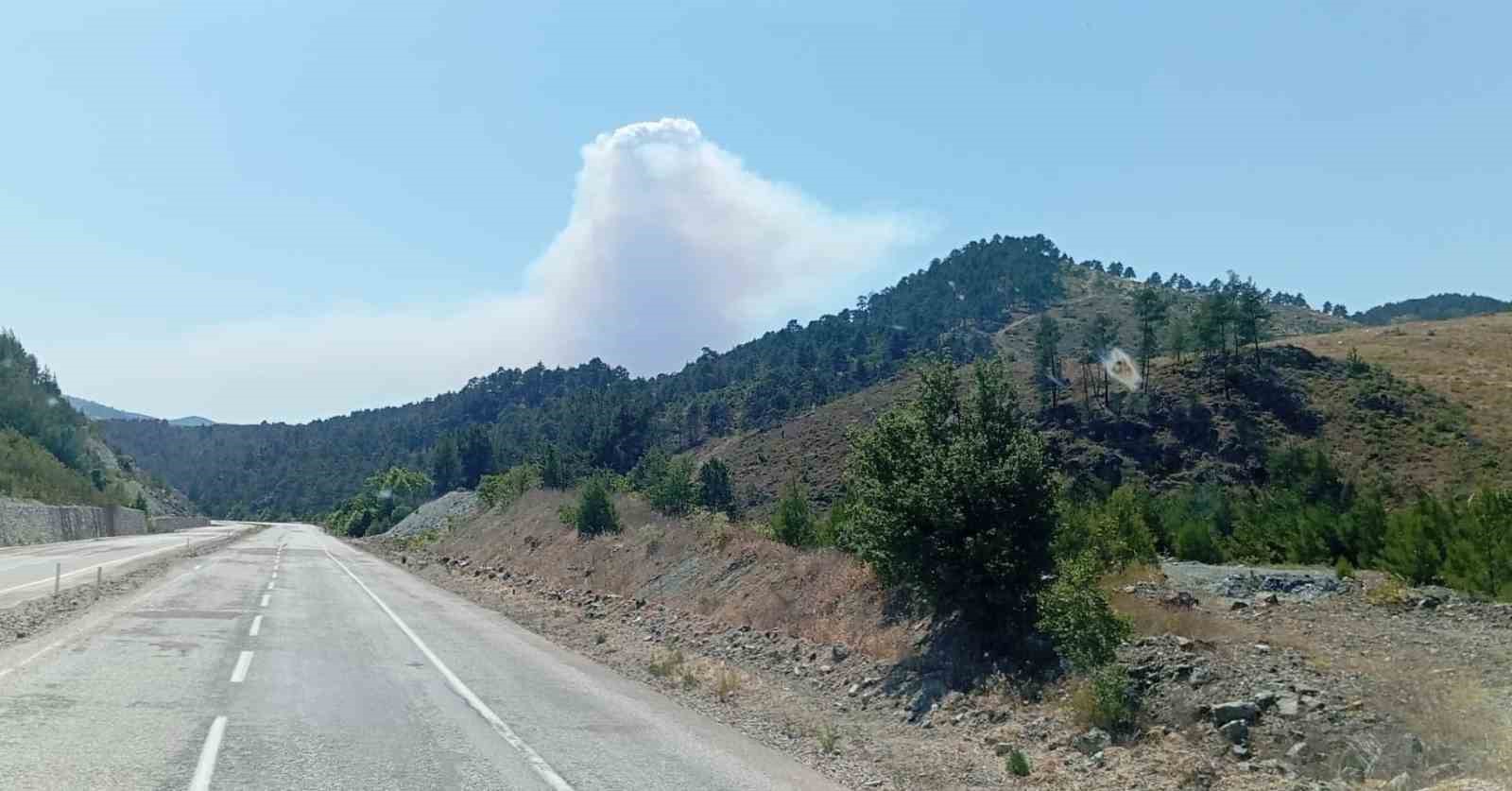 Bursa’daki orman yangınına havadan müdahale sürüyor
