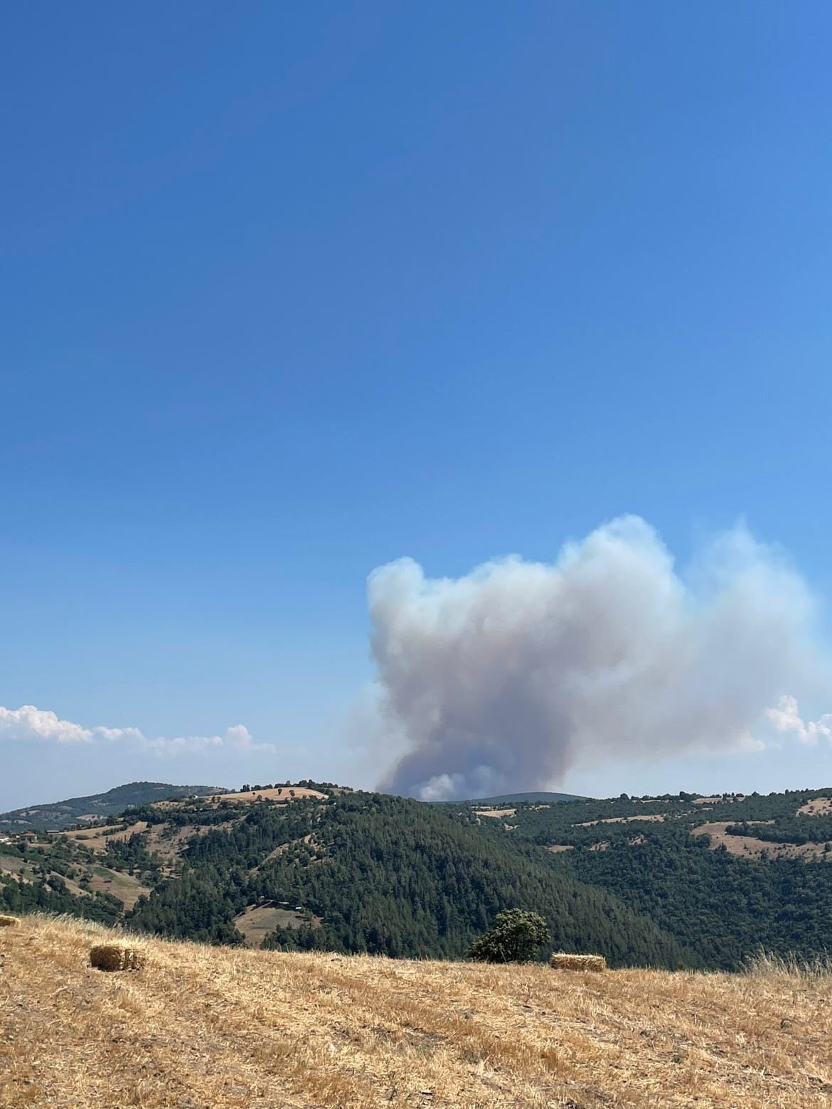 Bursa’daki orman yangınına havadan müdahale sürüyor
