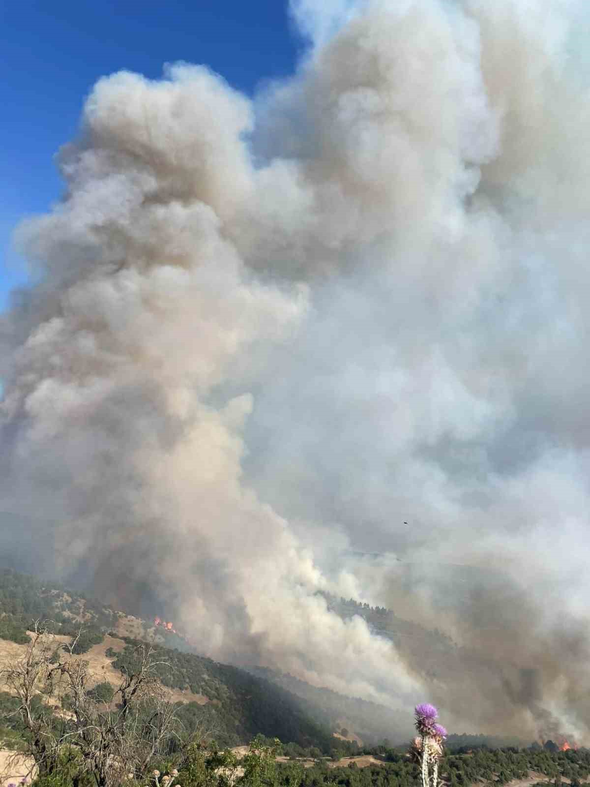 Bursa’daki orman yangınına havadan müdahale sürüyor
