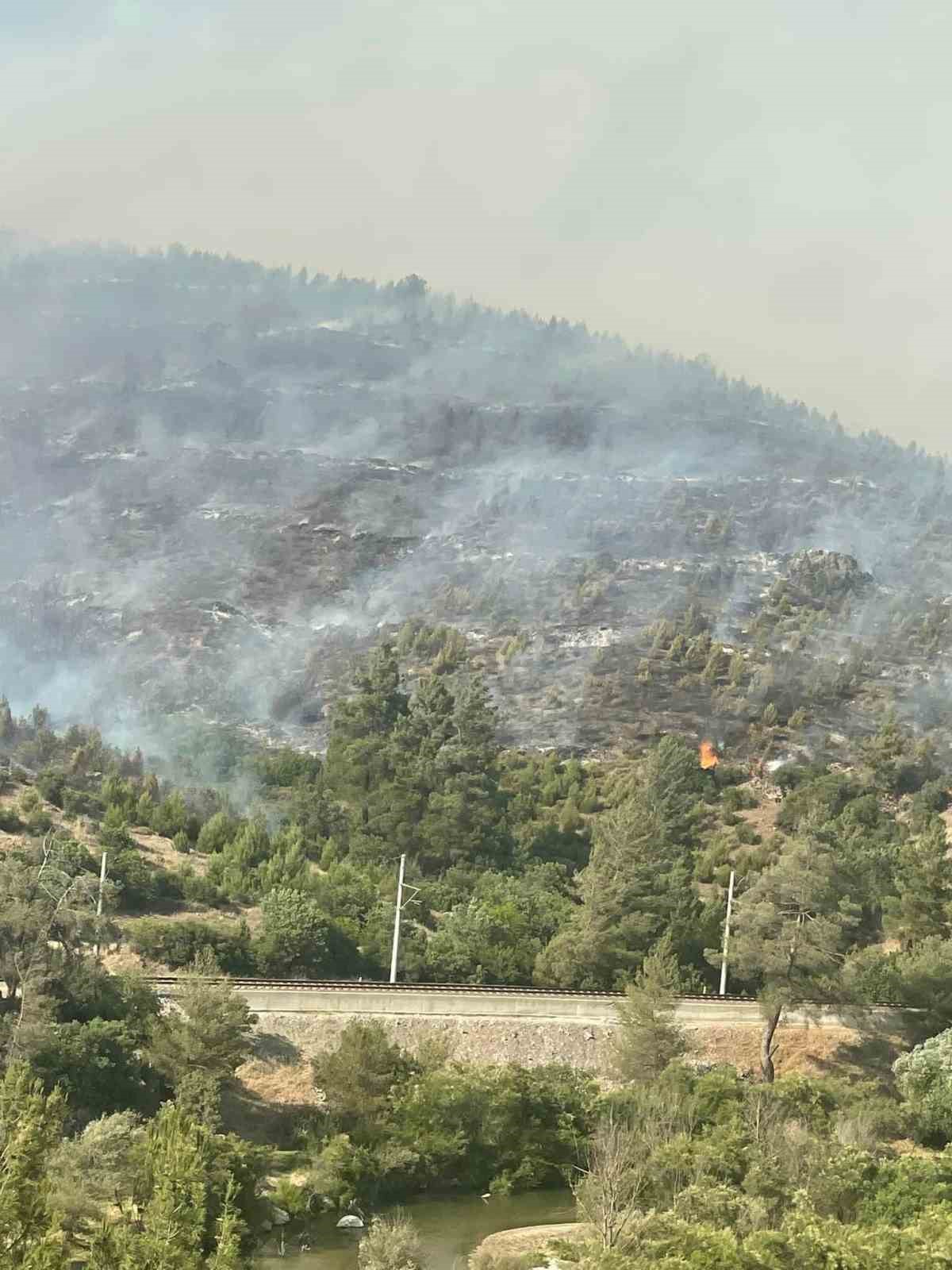 Bursa’daki orman yangınına havadan müdahale sürüyor
