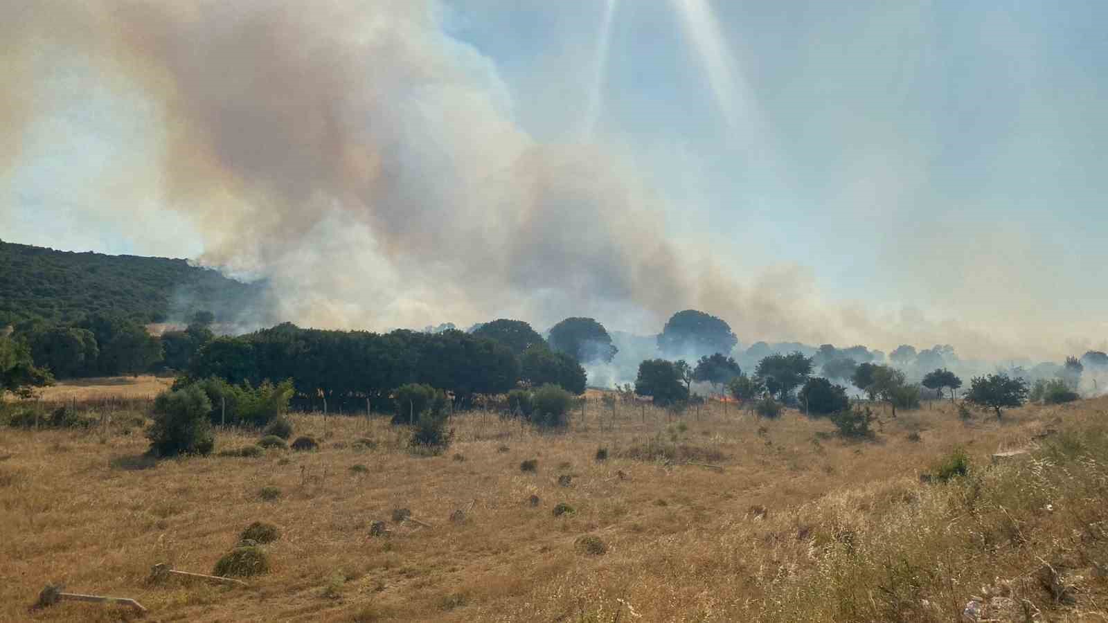 Çanakkale’de tahliye edilen köy sayısı 2’ye yükseldi
