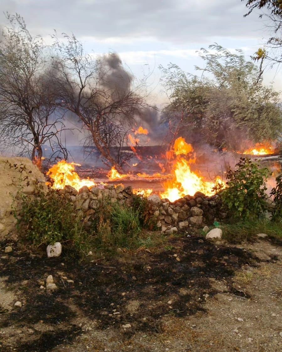 Elazığ’da otluk alanda yangın
