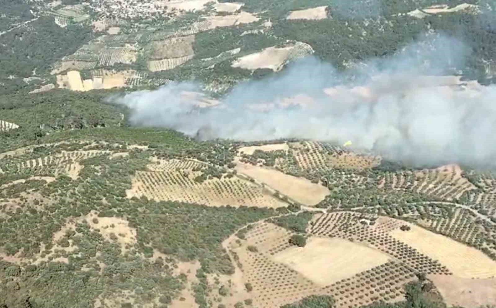 Bergama’daki orman yangınında bir mahalle tahliye edildi
