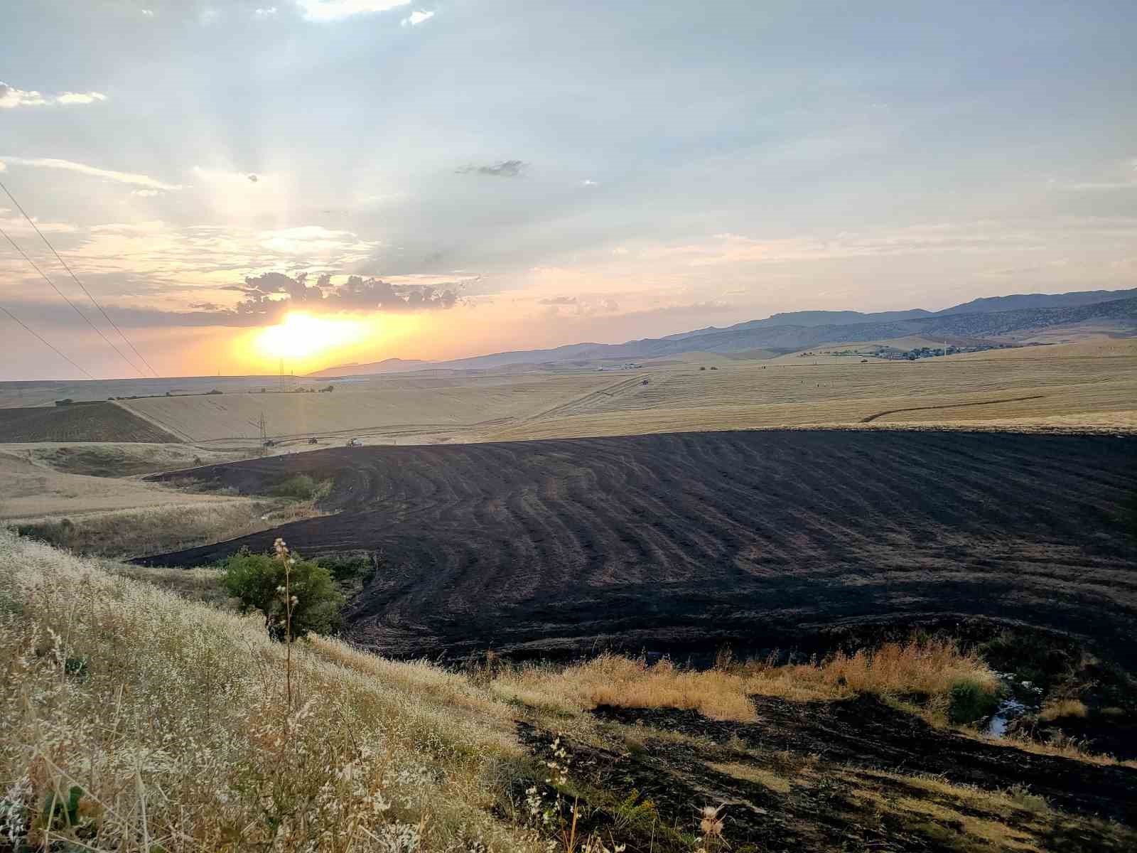 Diyarbakır’da ekin tarlasında yangın
