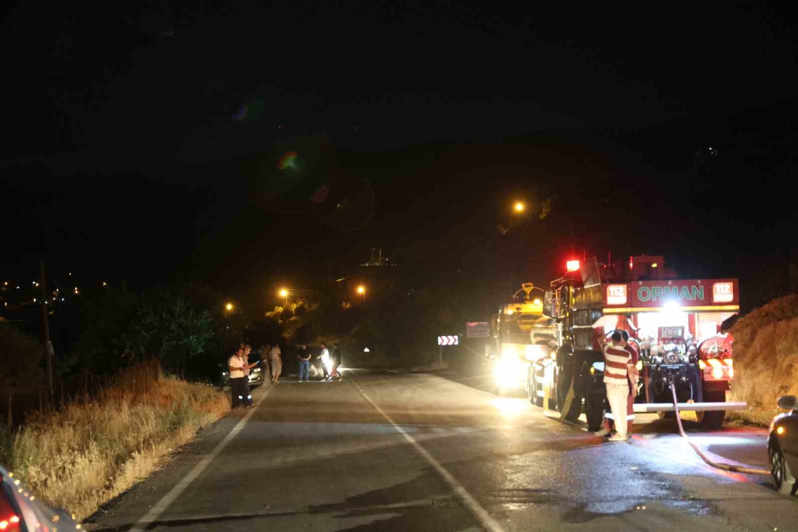 Kahramanmaraş’ta iki ayrı alanda örtü yangını
