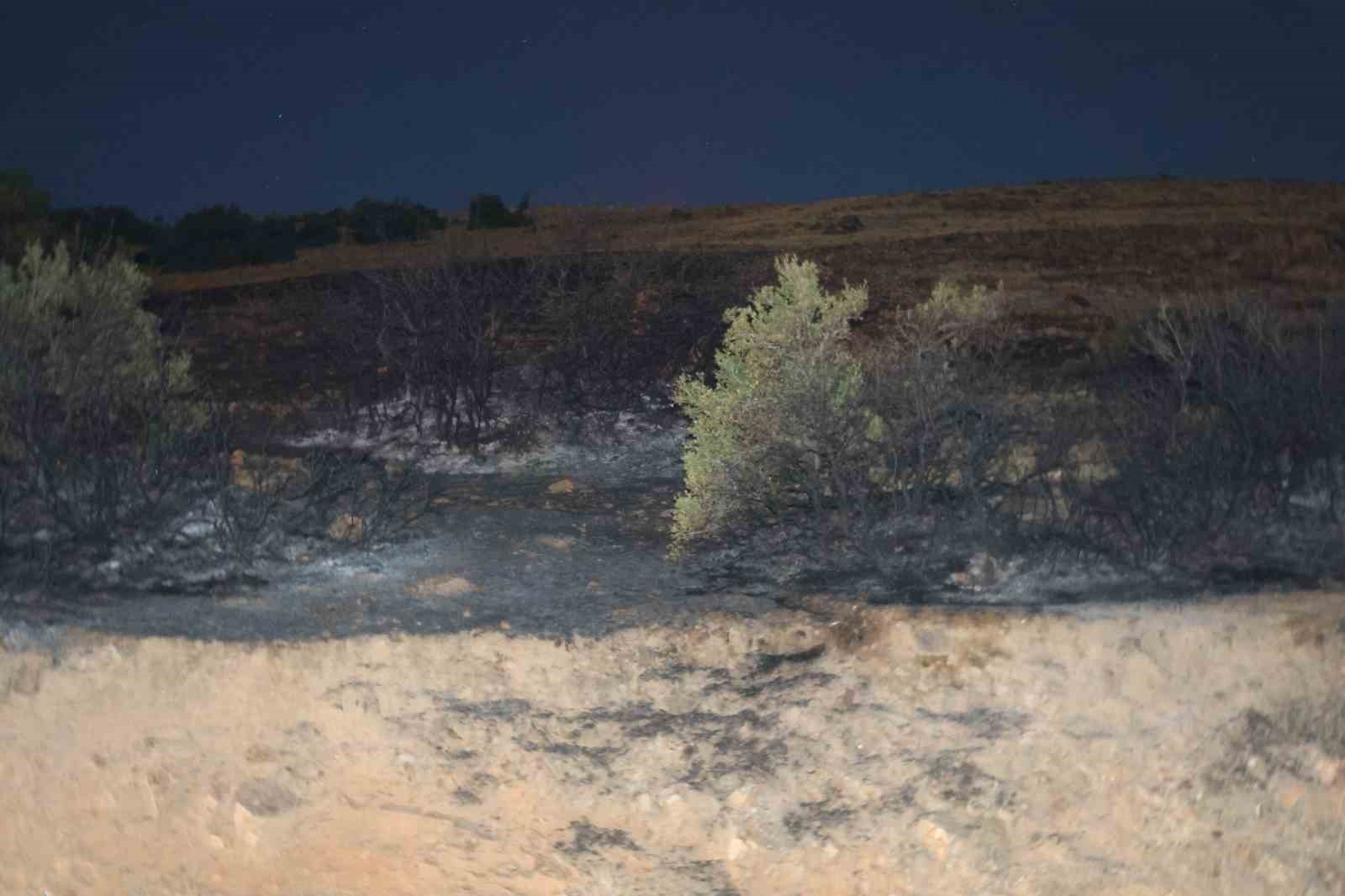 Kahramanmaraş’ta iki ayrı alanda örtü yangını
