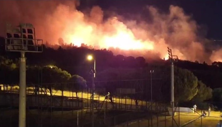 İzmir’de orman yangını
