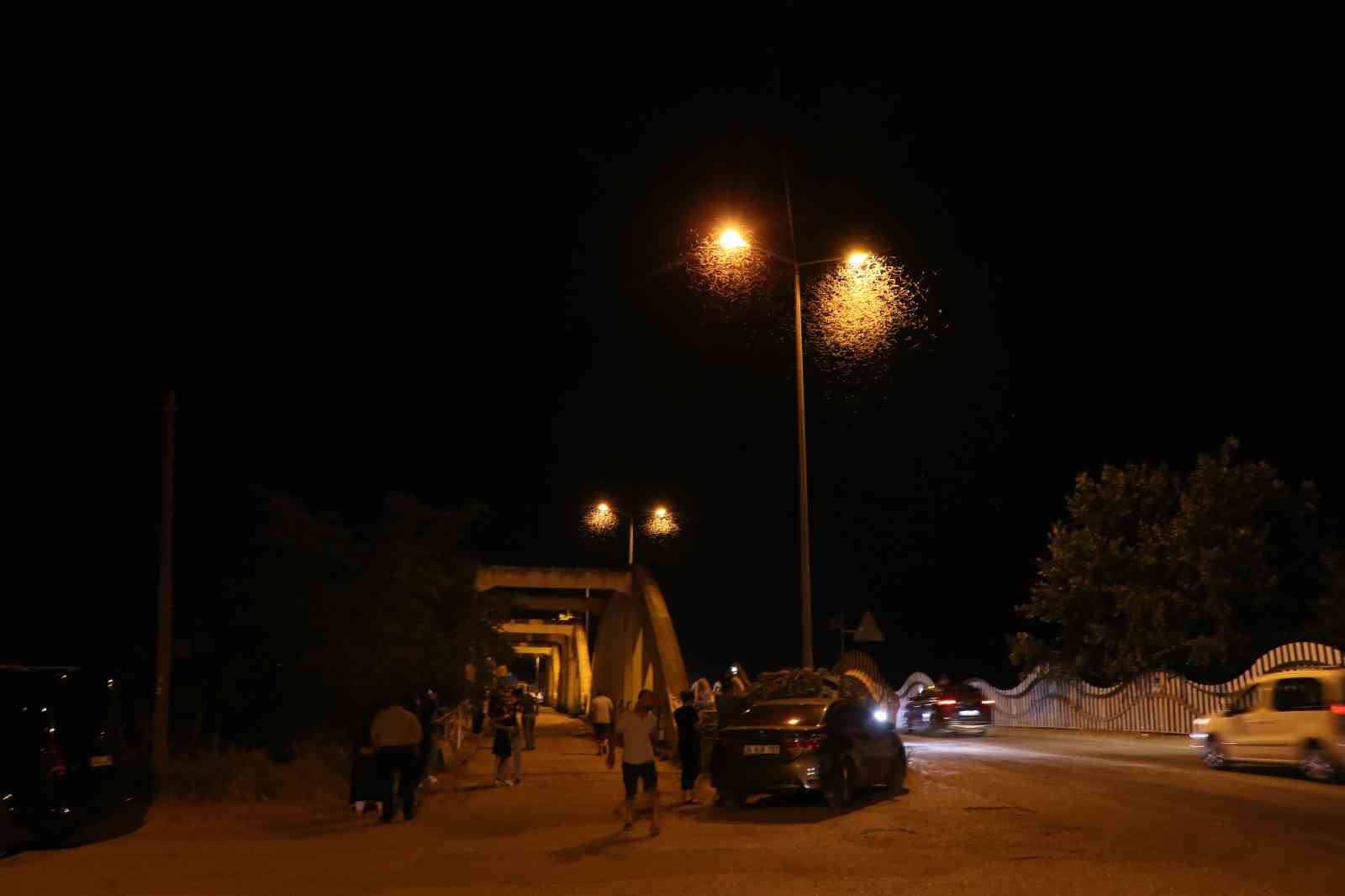 Bir gün sineklerinin ‘ölüm uçuşu’ başladı, vatandaş tarihi köprüye akın etti
