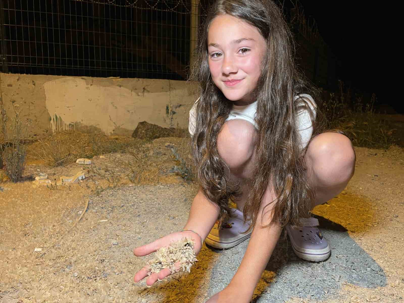 Bir gün sineklerinin ‘ölüm uçuşu’ başladı, vatandaş tarihi köprüye akın etti
