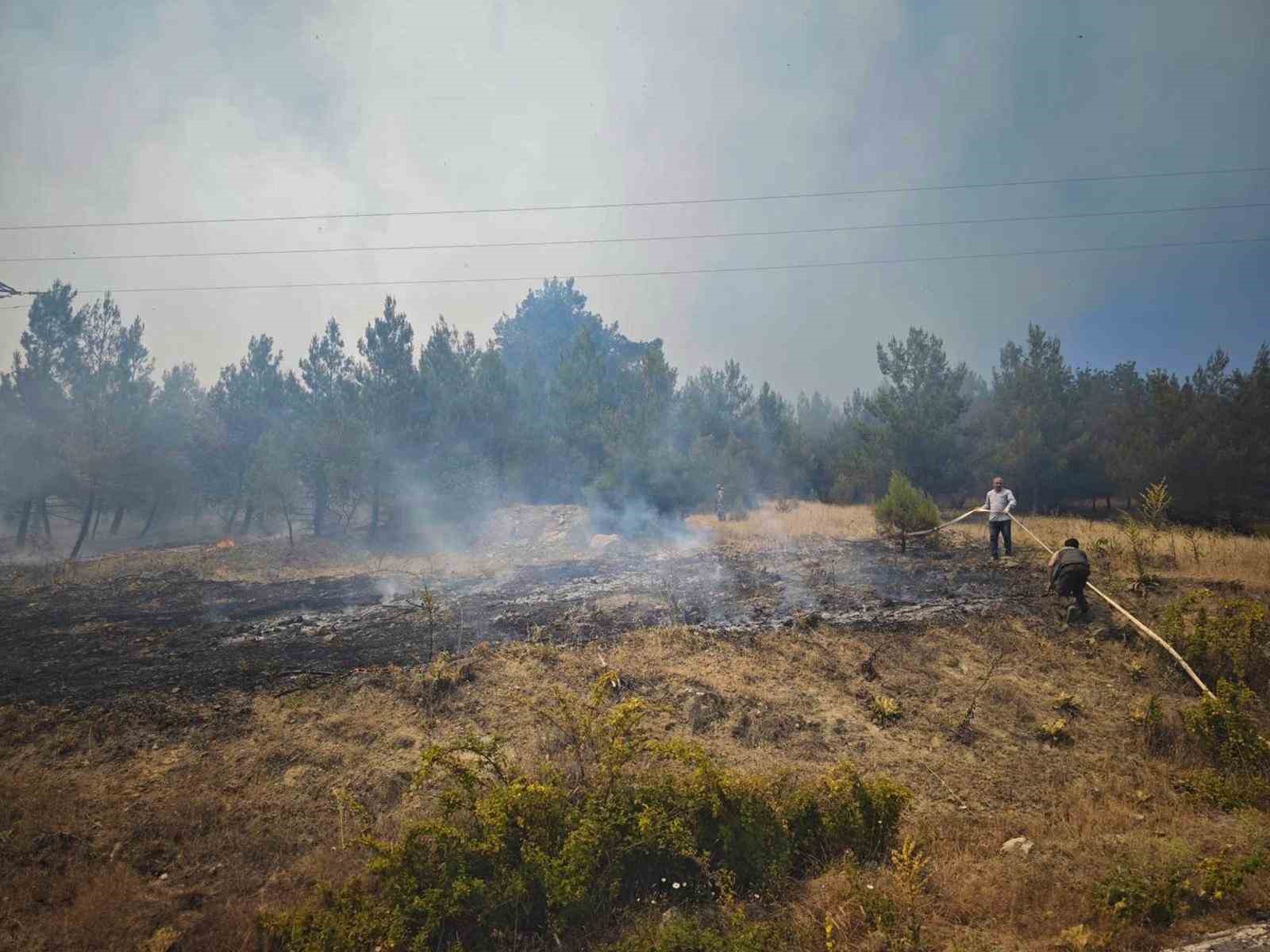 Bursa’daki orman yangını devam ediyor
