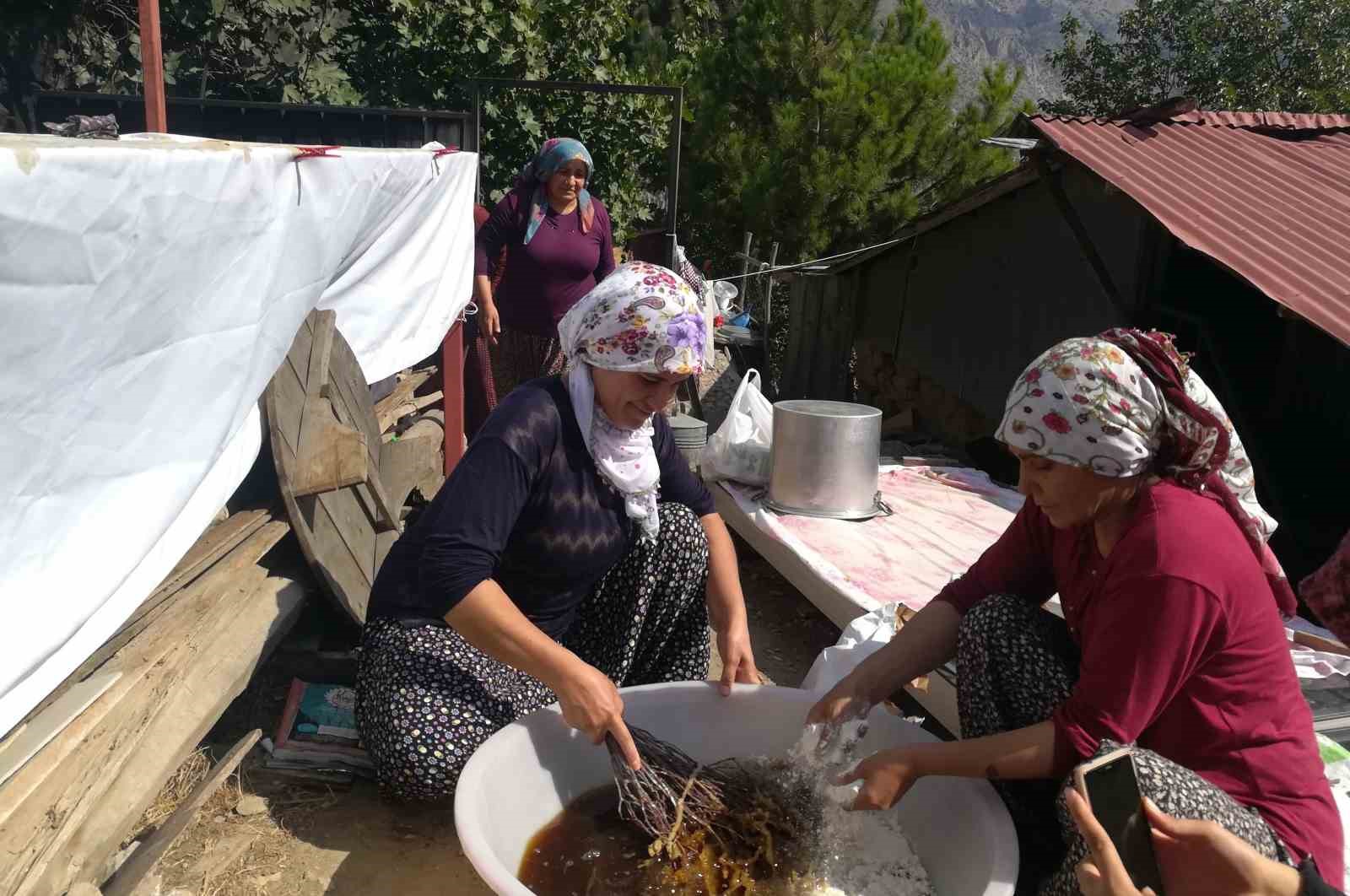 Dutun önemli geçim kaynağı olduğu Kemaliye’de kadınların zorlu pestil ve pekmez yapımı imece usulü ile eğlenceli hale geliyor
