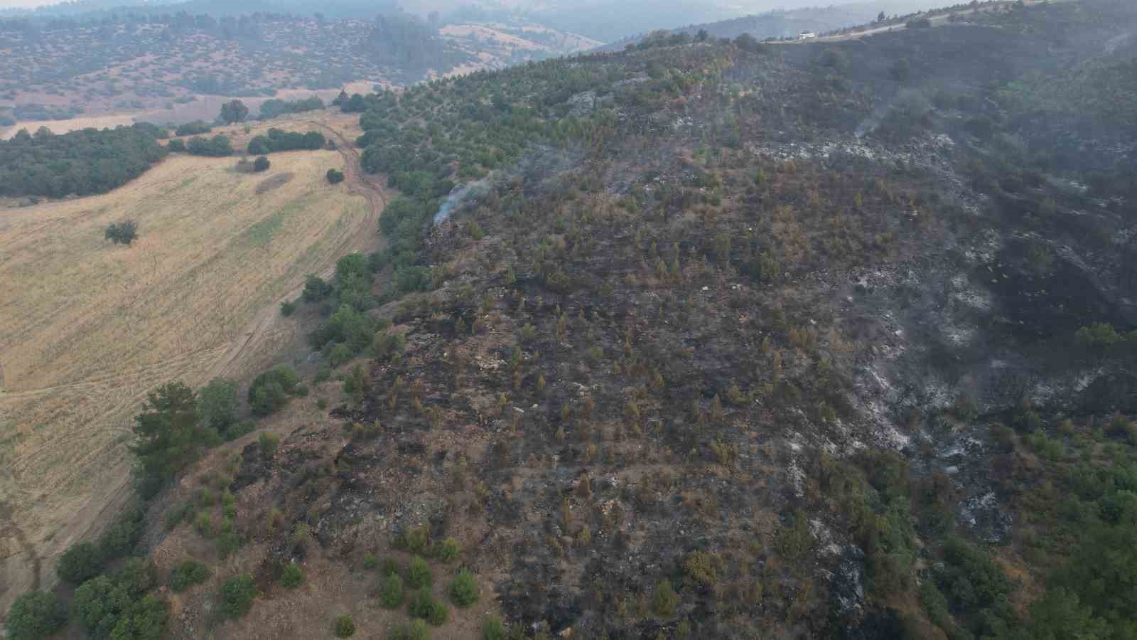 Bursa’daki yangın kısmen kontrol altına alındı
