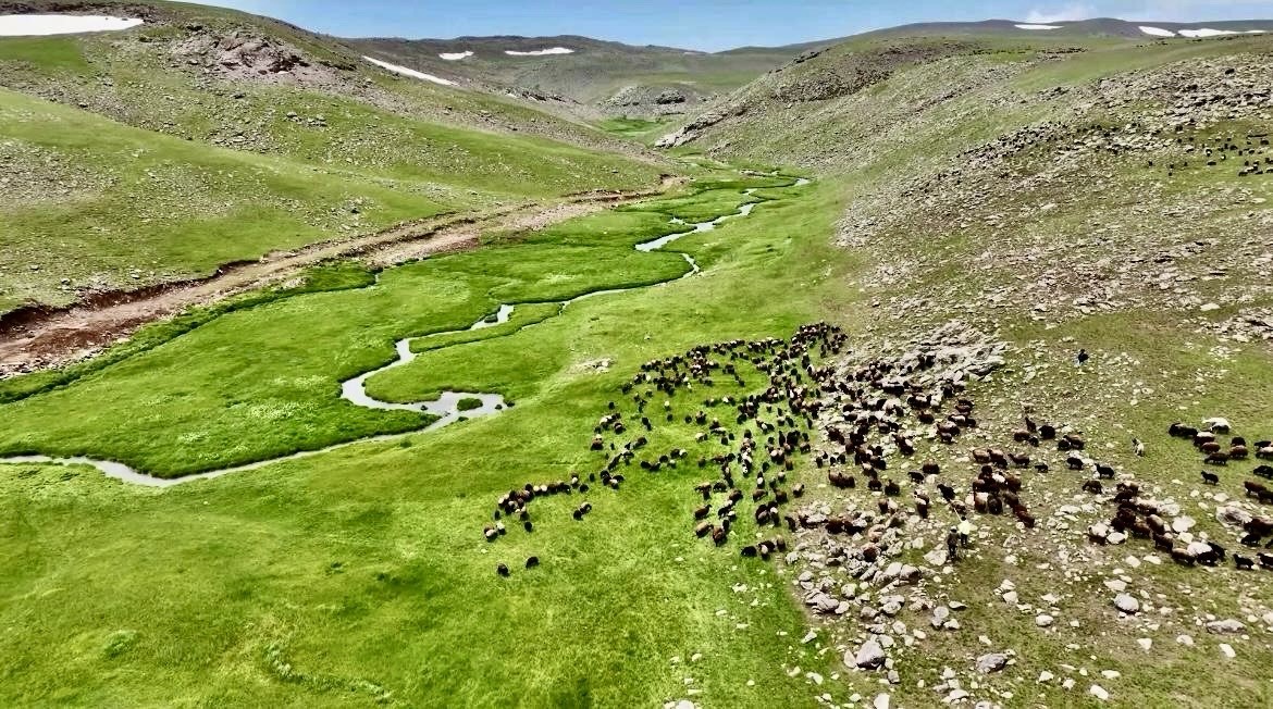 Ağrı’nın volkanik platolarındaki menderesler dronla görüntülendi
