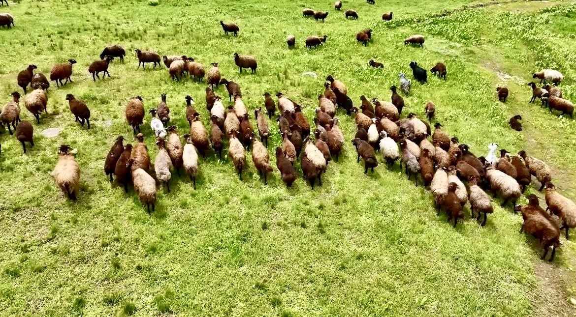 Ağrı’nın volkanik platolarındaki menderesler dronla görüntülendi
