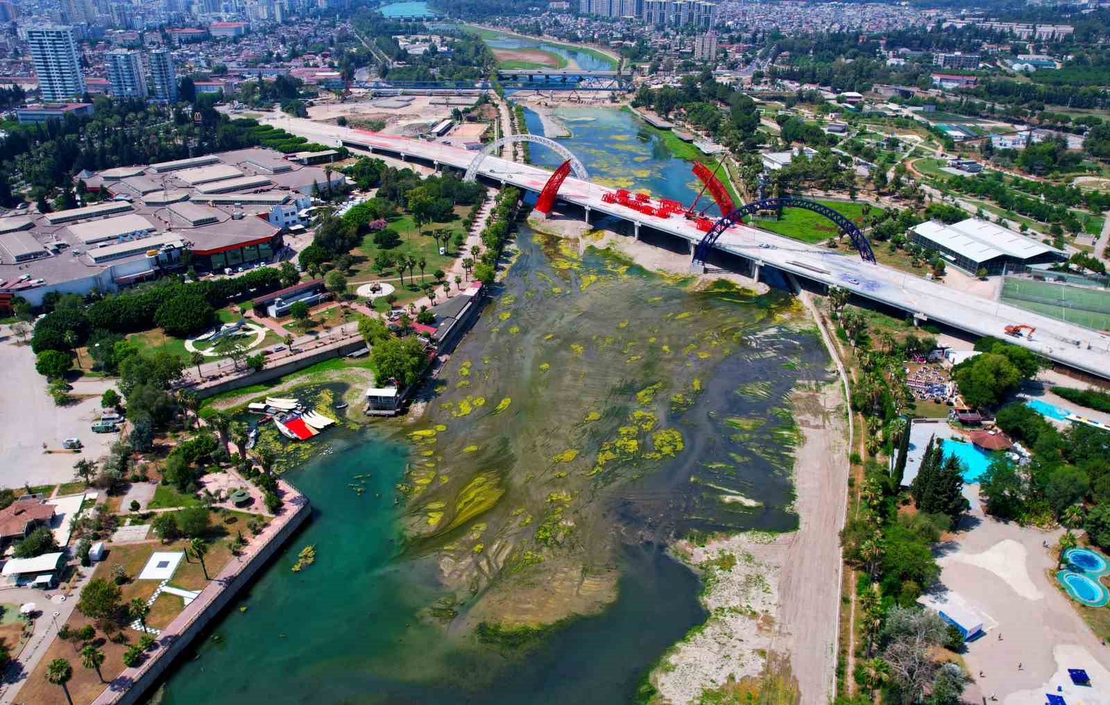 Seyhan Nehri’ni kaplayan yosunlar insan boyunu geçti, kötü koku kenti kapladı
