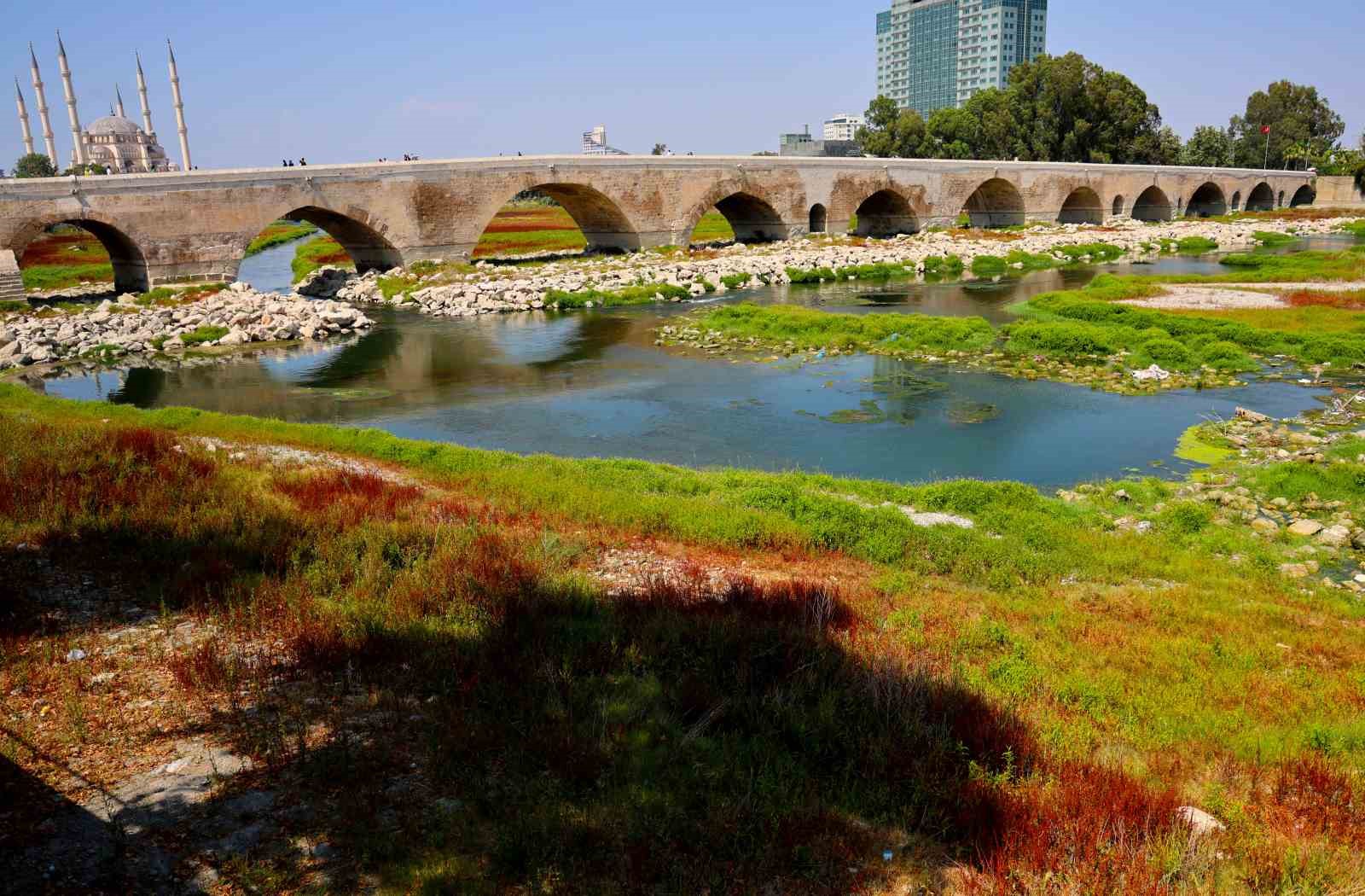 Seyhan Nehri’ni kaplayan yosunlar insan boyunu geçti, kötü koku kenti kapladı
