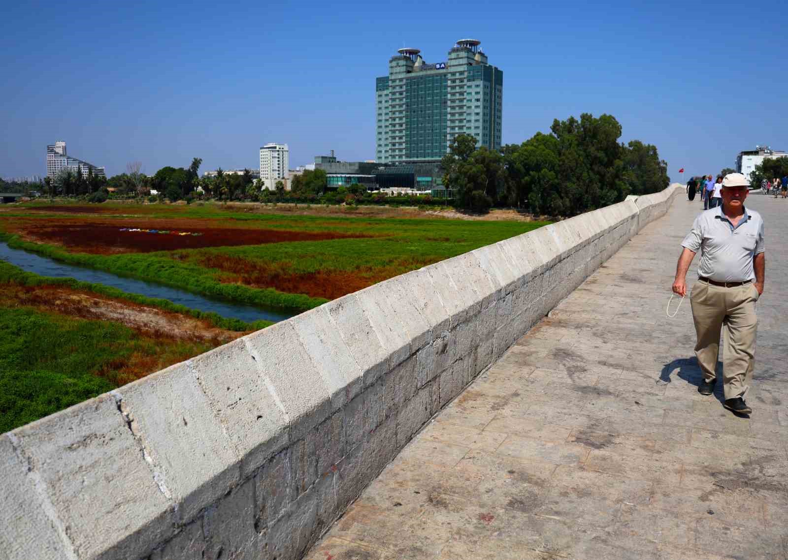 Seyhan Nehri’ni kaplayan yosunlar insan boyunu geçti, kötü koku kenti kapladı
