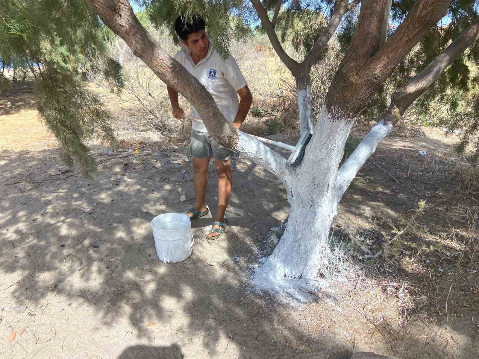 Bodrum Belediyesi Cenaze Hizmetleri Birimi bakım ve temizlik çalışmalarını hızlandırdı
