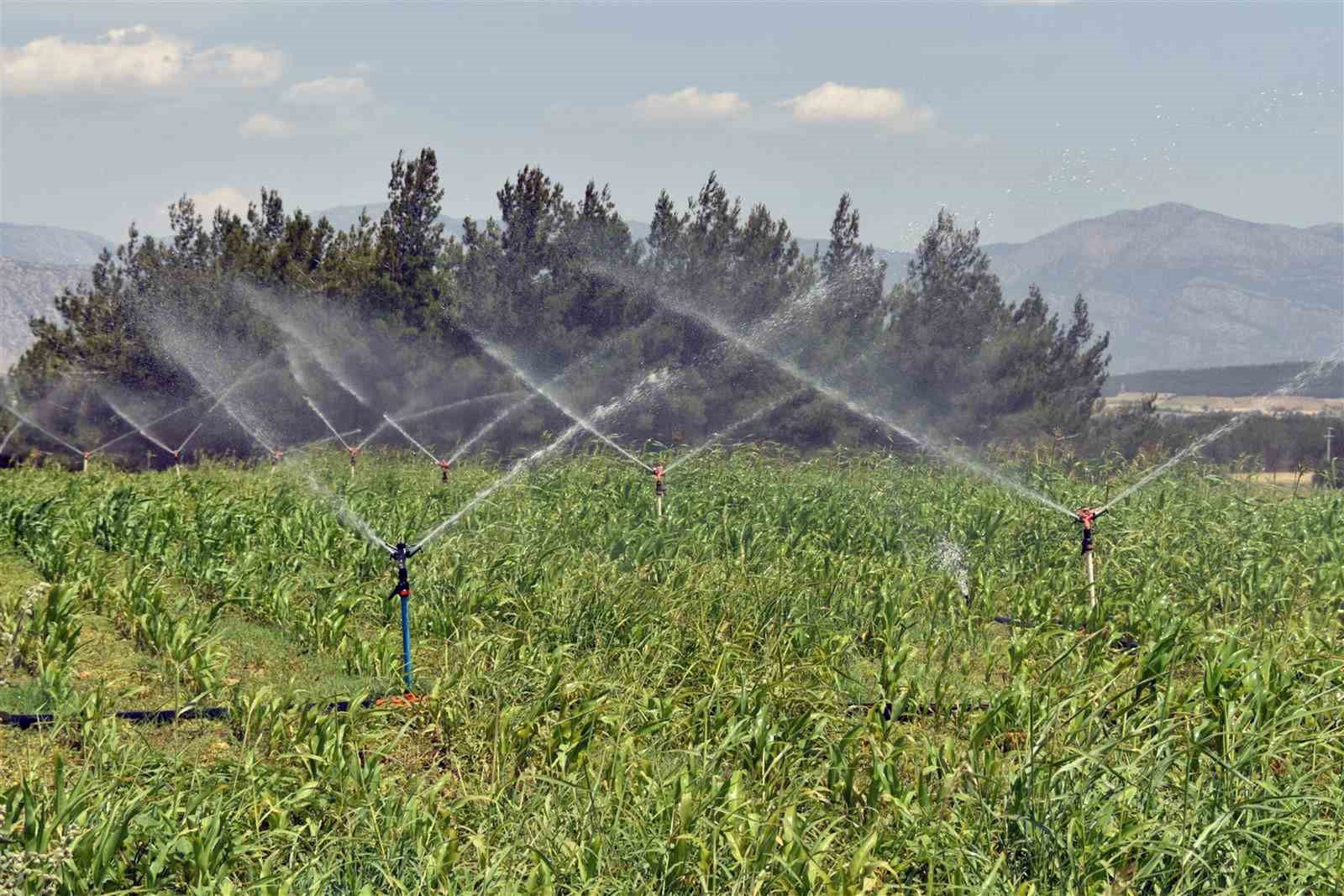 Muğla’da 140 bin dekar alan su ile buluştu
