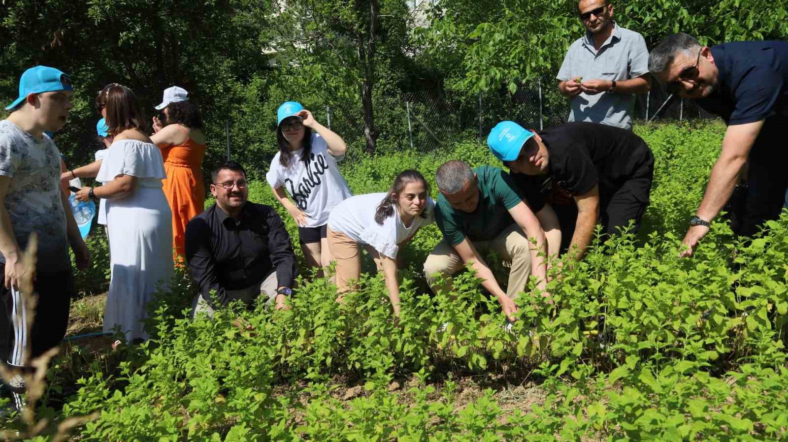 Özel çocuklar sebze ve aromatik bitki yetiştiriyor
