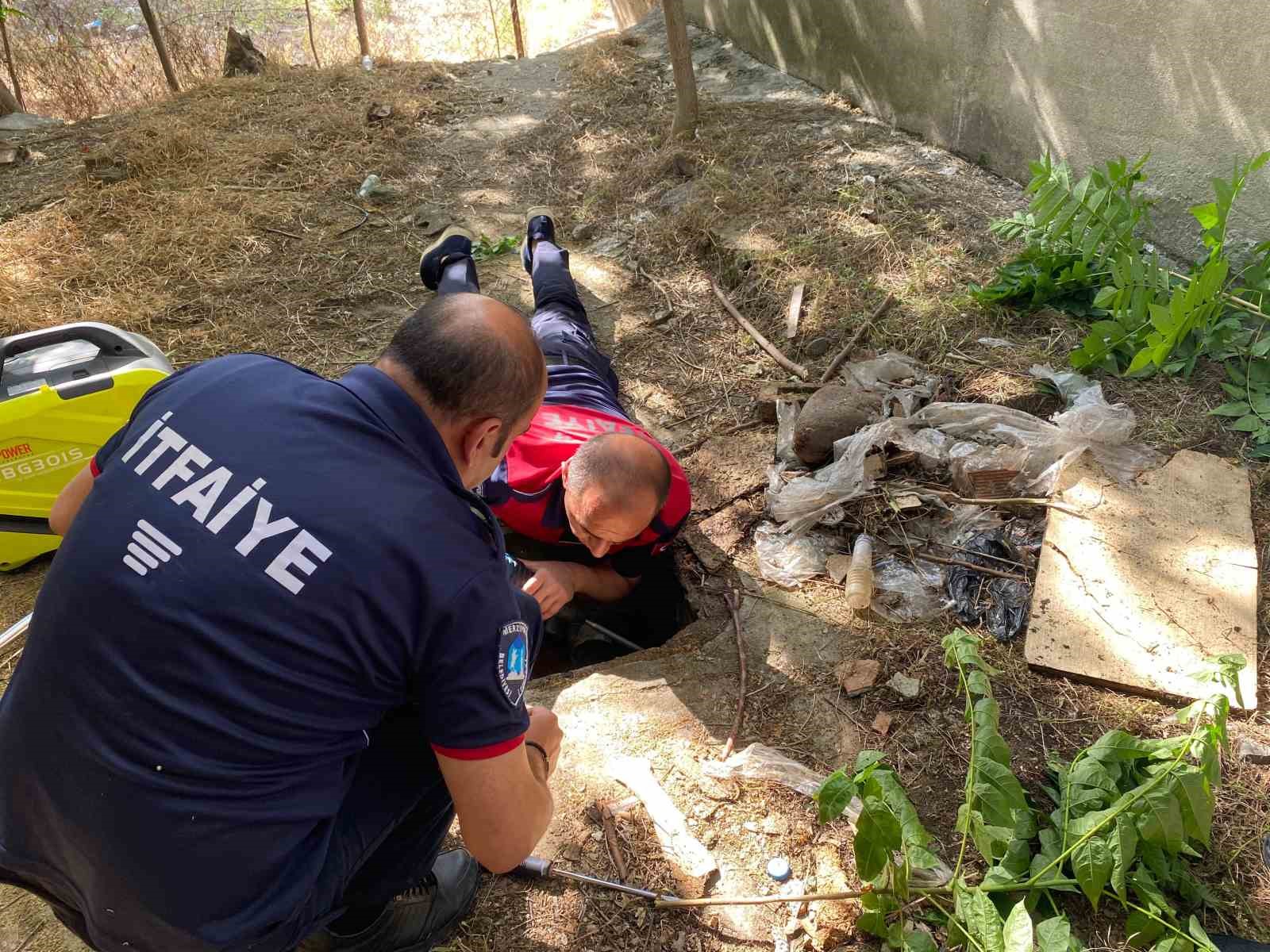 Atık su borusunda mahsur kalan yavru köpekleri itfaiyeciler kurtardı
