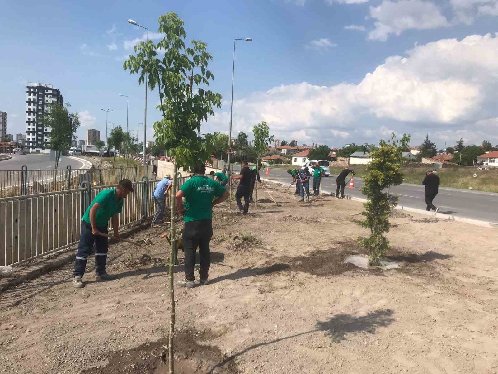 30 bin metrekarelik alan yeşillendiriliyor
