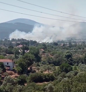 Yatağan’da sazlık alanda yangın
