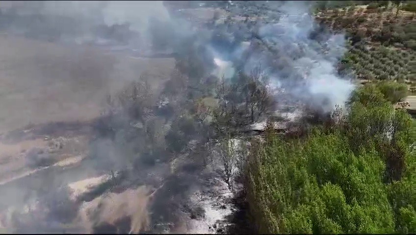 Sazlık alanda çıkan yangın ormanlık alana sıçramadan 7 saatte söndürüldü
