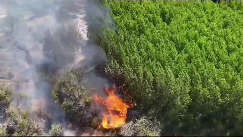 Sazlık alanda çıkan yangın ormanlık alana sıçramadan 7 saatte söndürüldü
