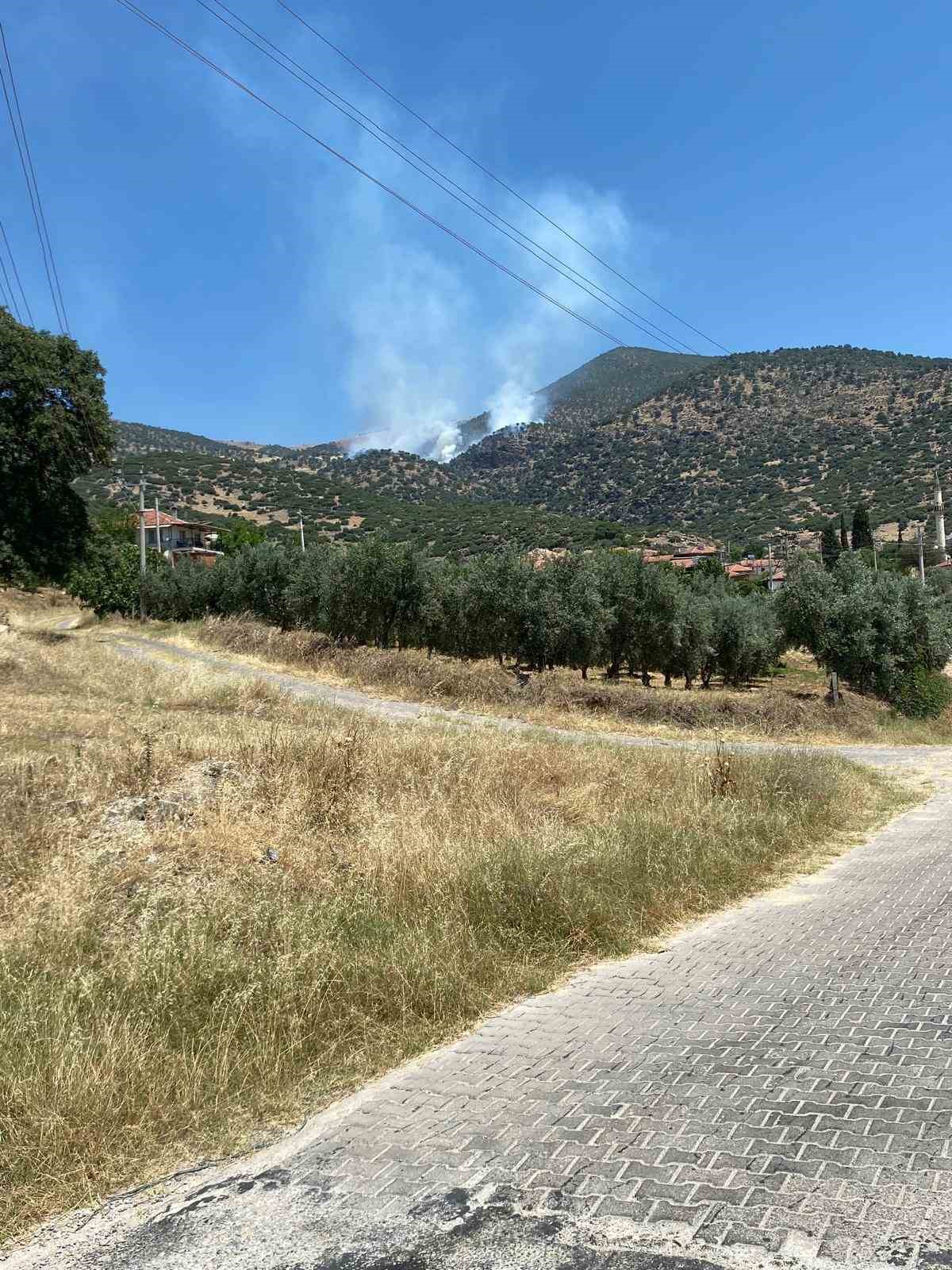 Manisa’da orman yangını
