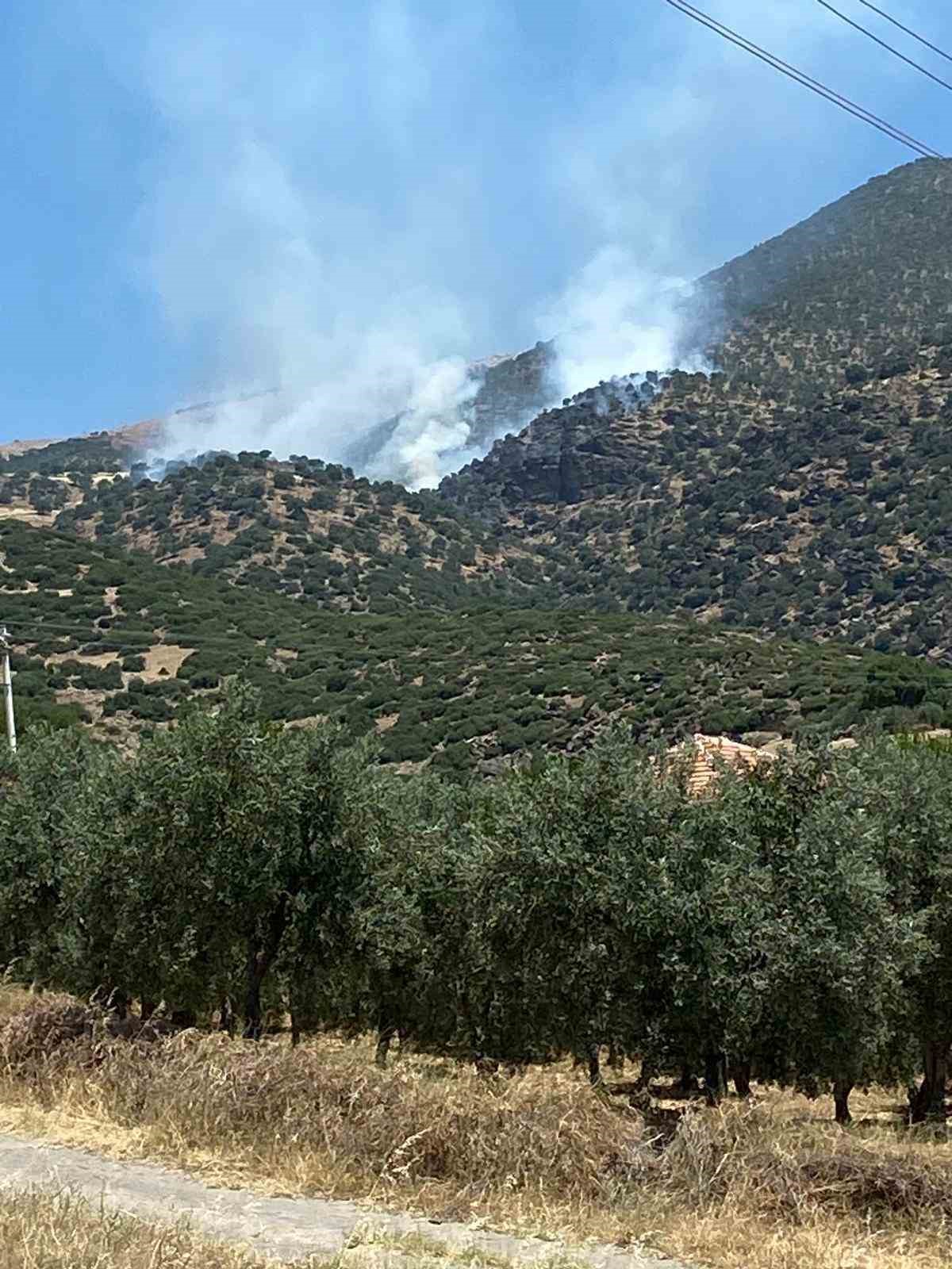 Manisa’da orman yangını
