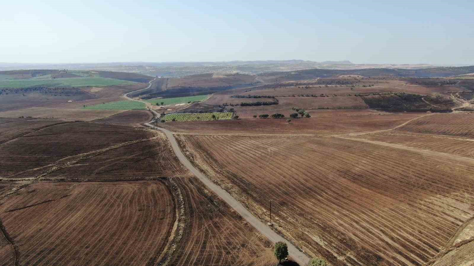 Diyarbakır’daki anız yangınında hayatını kaybedenlerin kimlikleri belli oldu
