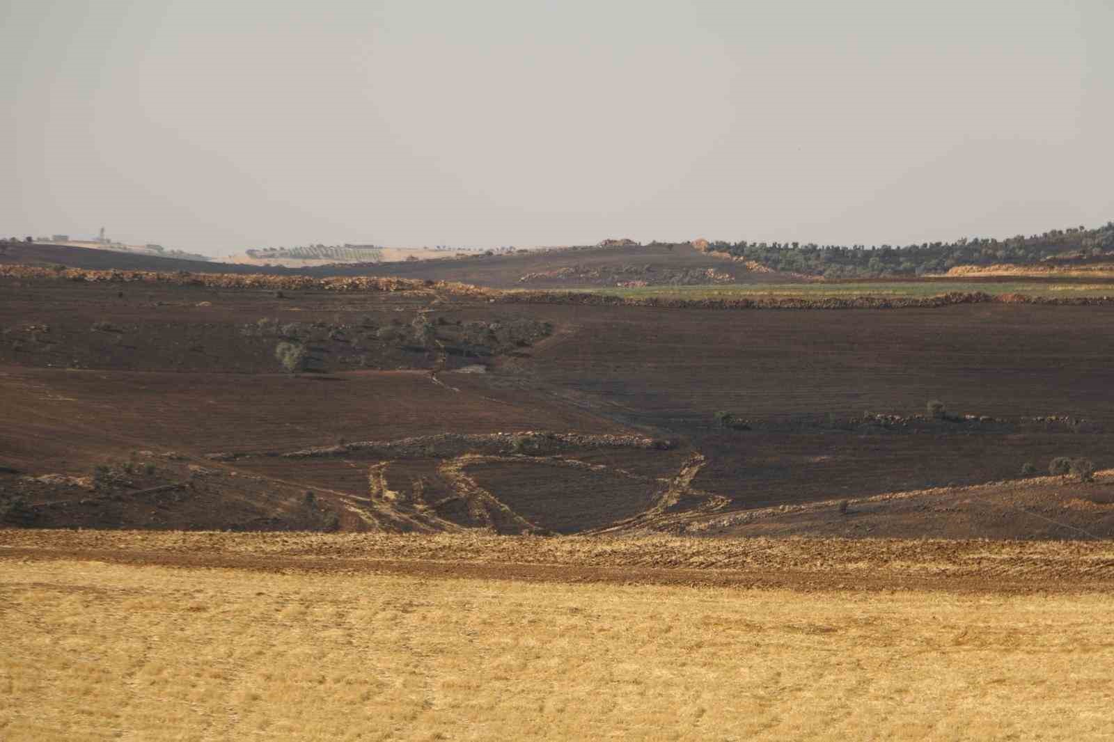 Diyarbakır’daki anız yangınında hayatını kaybedenlerin kimlikleri belli oldu
