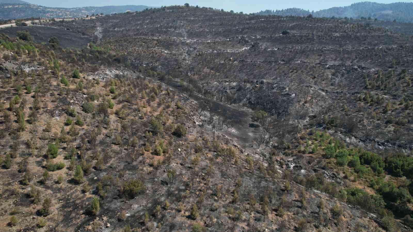 Bursa’daki yangın tekrar başladı
