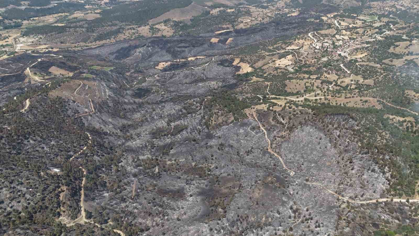 Bursa’daki yangın tekrar başladı
